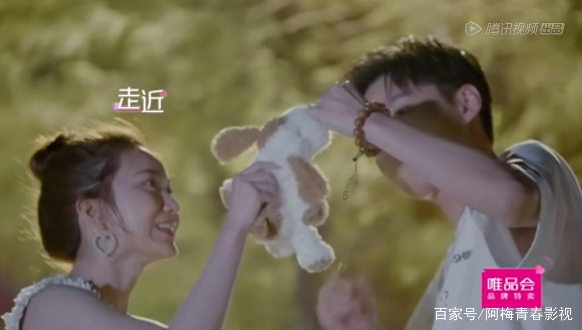 小孔雀逃脱